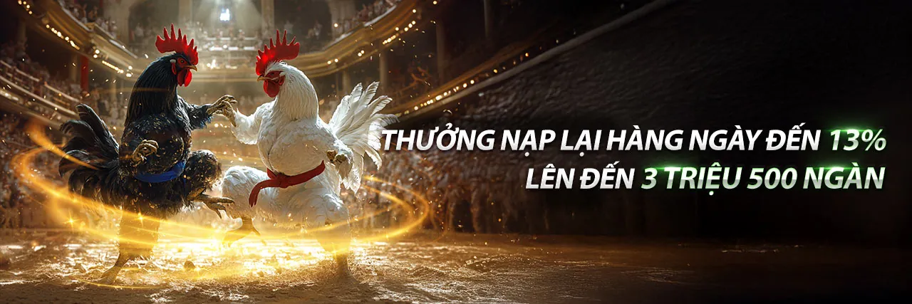 Đá gà trực tiếp Thomo hôm nay c1 c2 c3
